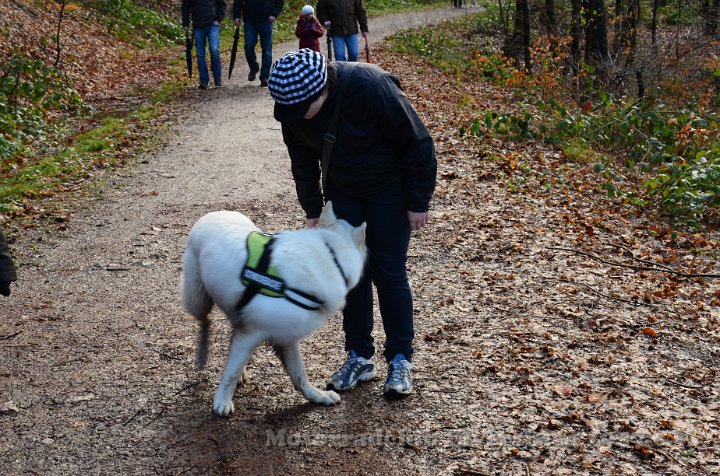 Wandertag 2012 - 082.JPG
